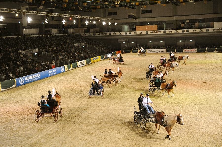 馬展，德國馬展，馬匹比賽